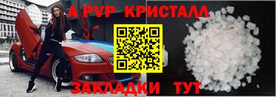 шишки Обь