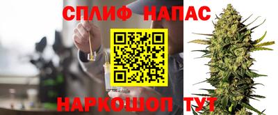 мдпв Пенза