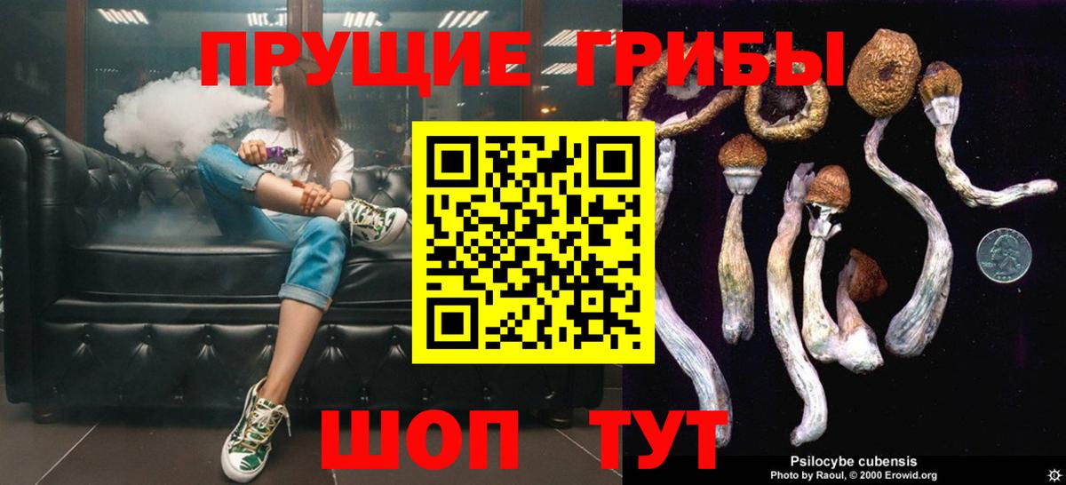 Галлюциногенные грибы Cubensis Реж