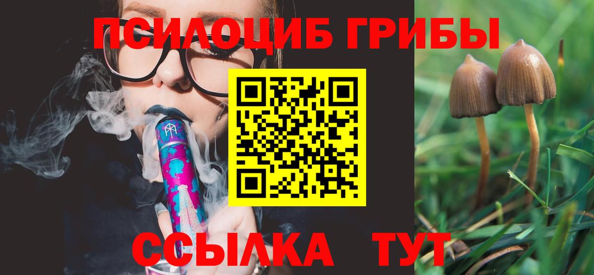 Реж  Псилоцибиновые грибы мухоморы  Вход с VPN 